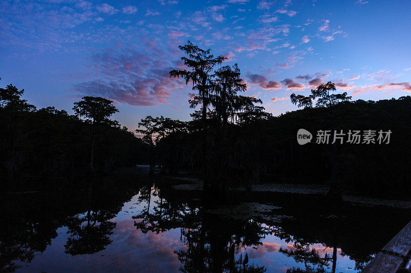 沼泽里的天空