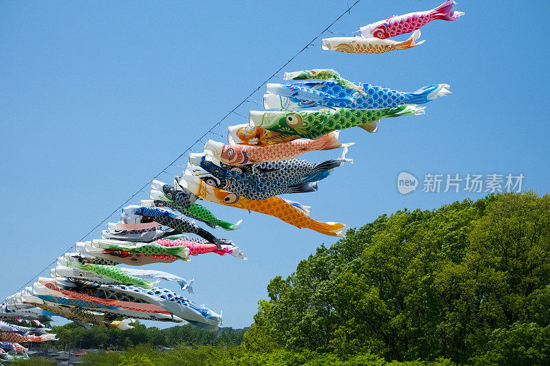 日本鲤鱼风筝，点缀蓝天