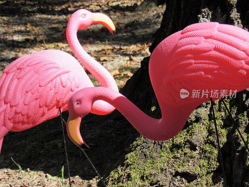 塑料粉红色的火烈鸟