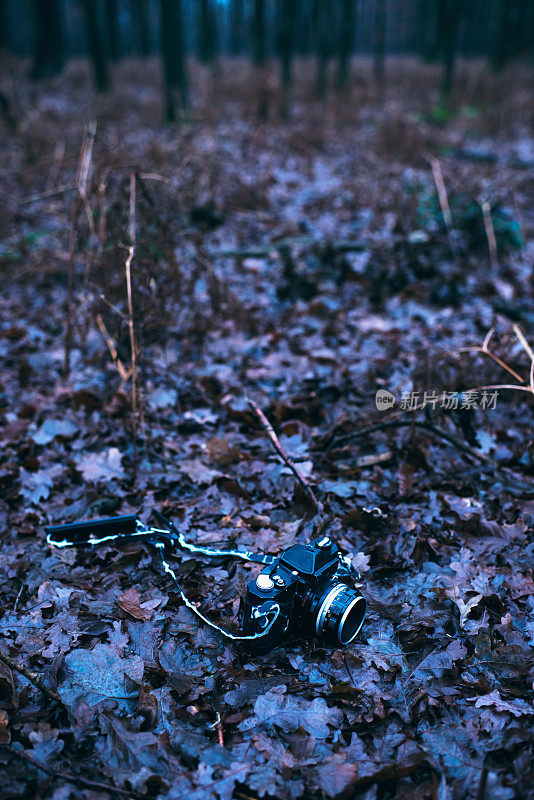 老式单反相机落在覆盖着棕色树叶的森林地面上。