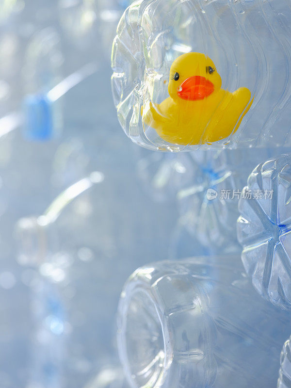 黄色橡皮鸭被困在一个空的塑料饮料瓶和许多其他净化的塑料饮料瓶保存回收。