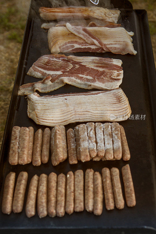 在美国犹他州盐湖城的桑塔奎因山谷做熏肉香肠野餐晚餐