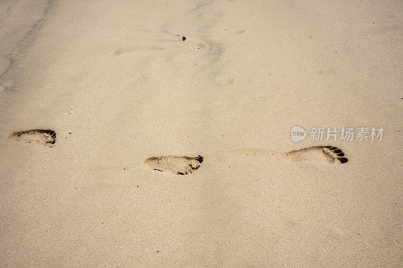 热带海滩棕色沙滩上的脚印