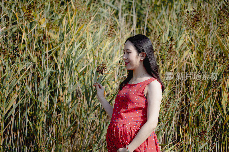 怀孕的中国女人和丈夫