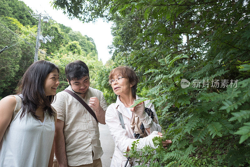 一位日本老妇人向年轻游客展示一种可食用的当地植物