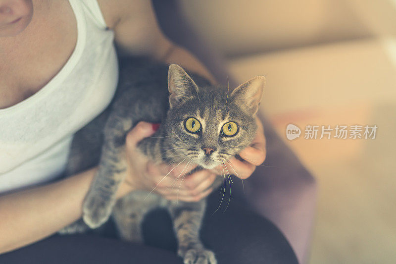 女人抱着她的猫