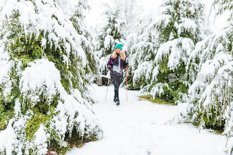 在多雪的冬天徒步旅行的女人