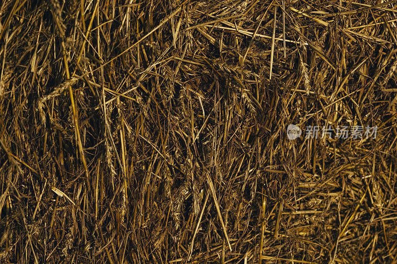 稻草背景，干草质地
