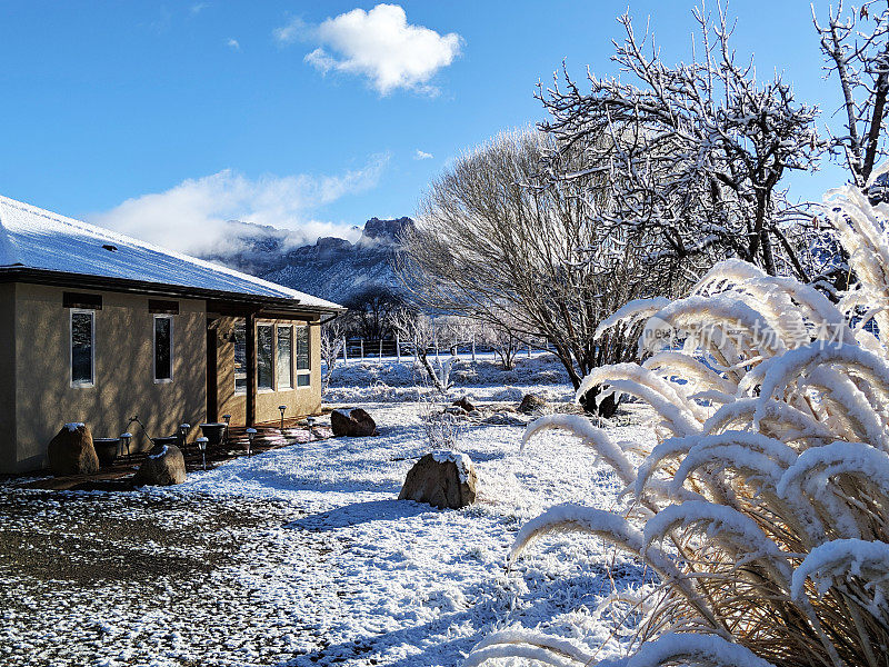 新的雪和白霜在潘帕斯草在岩石花园在洛克维尔附近的锡安国家公园犹他州