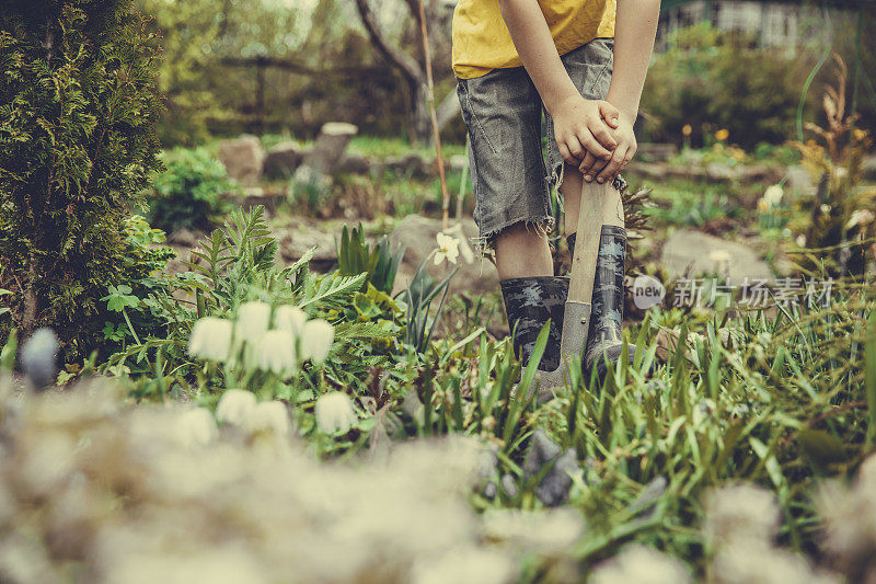 那个男孩正在用一把小铁锹挖菜园。