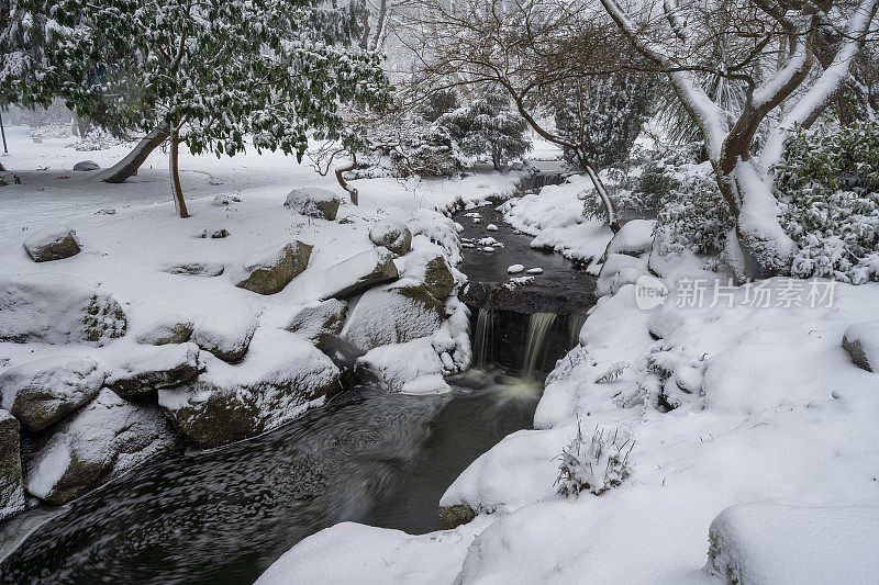 维多利亚BC灯塔山公园雪