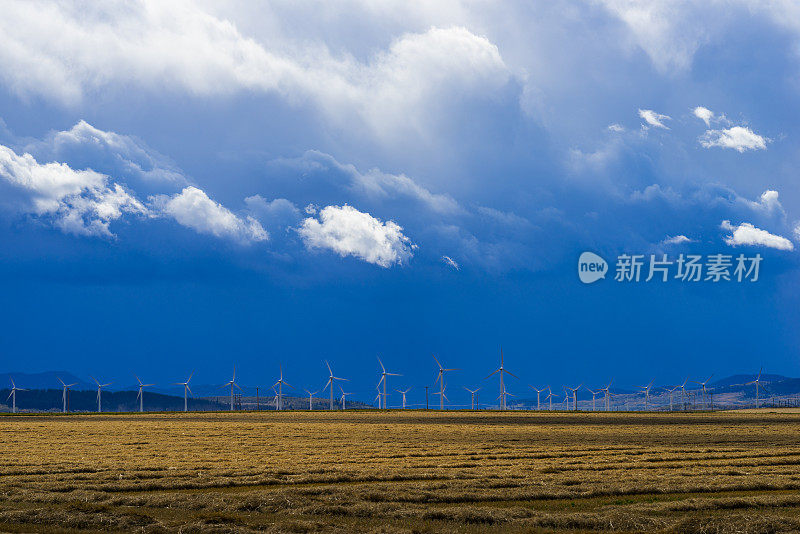 蓝天下收获的农田后面的风力涡轮机