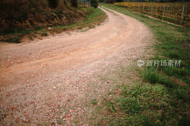 土路蜿蜒穿过托斯卡纳的葡萄园