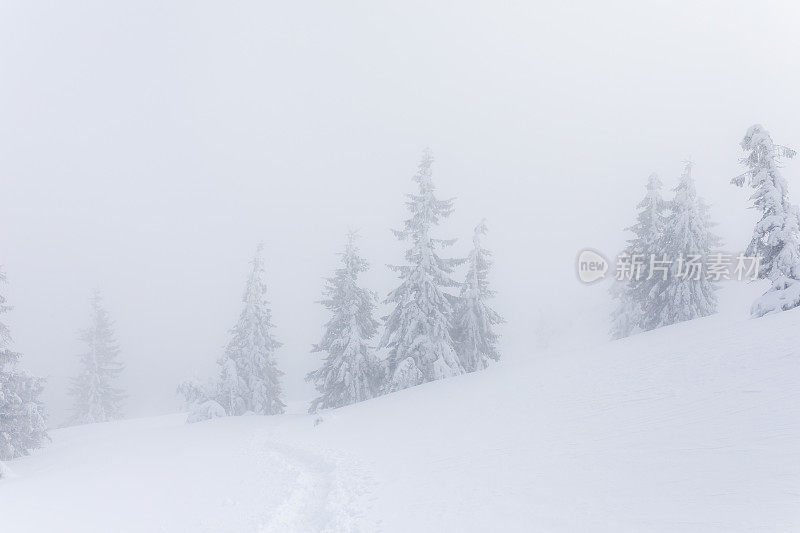 在一场暴风雪中，喀尔巴阡山坡被雪覆盖