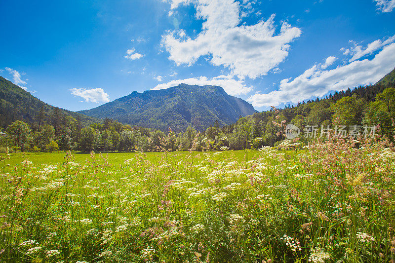 奥地利阿尔卑斯山的山景风景