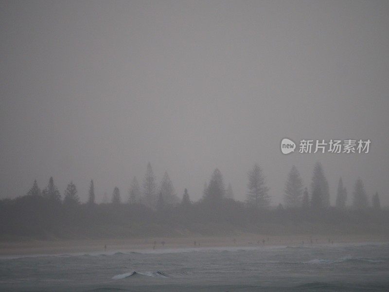 下雨天从布伦瑞克头石墙看新布赖顿的松树