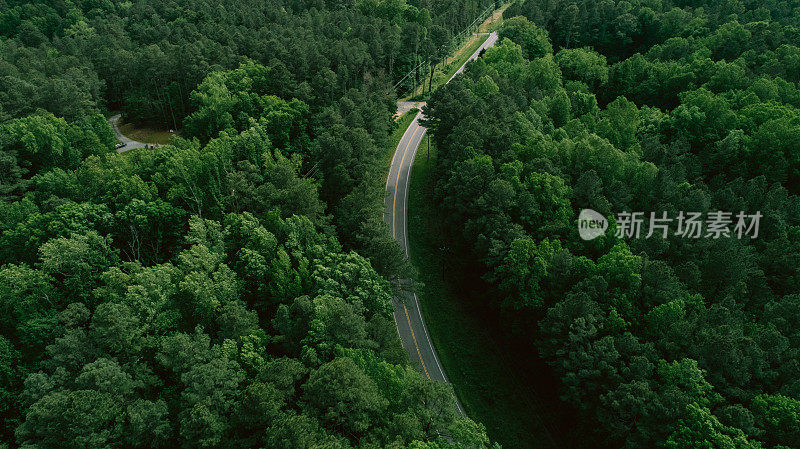 鸟瞰图穿过森林的道路在春天