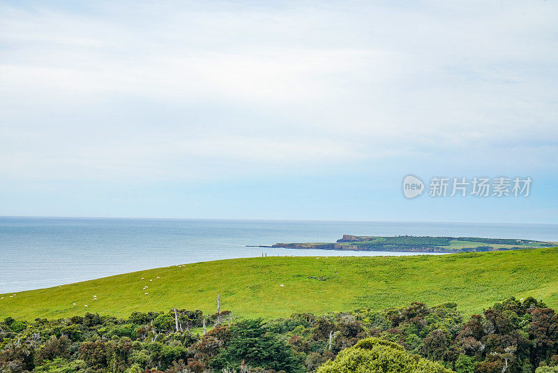 陶图库海滩，骷髅点瞭望台，卡特林，南岛，新西兰