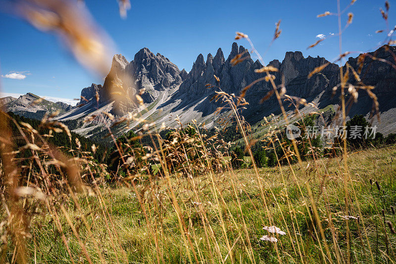 Dolomites上的户外标志性景观:Seceda著名地标