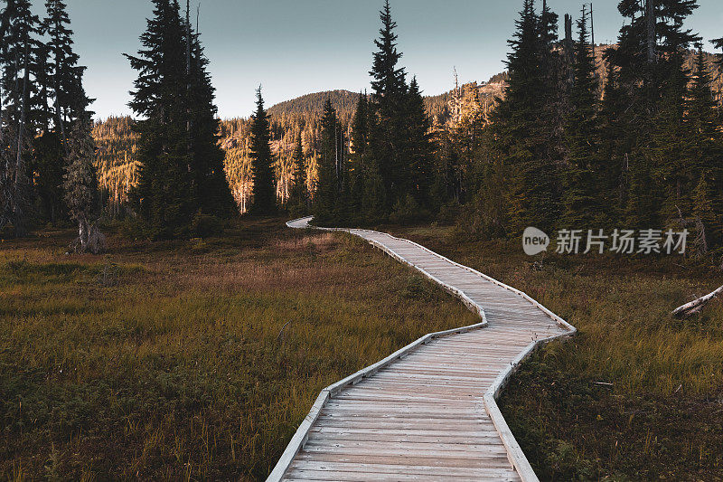 华盛顿山禁止高原木板路