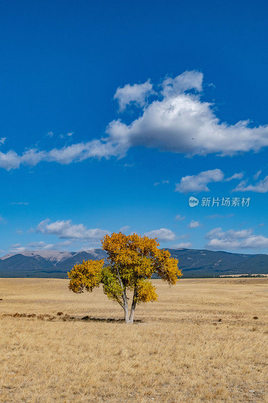 秋景非常乡村的蒙大拿牧场草原