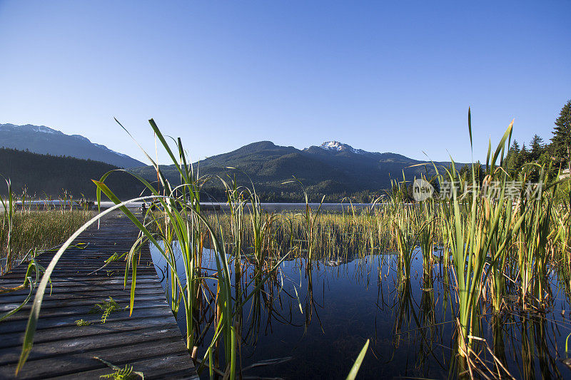 BC州惠斯勒的阿尔塔湖风景。