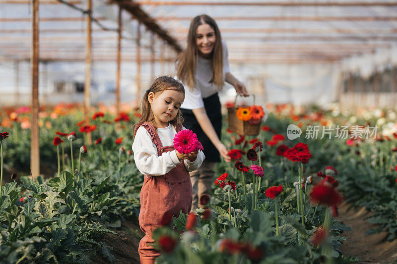 快乐的小女孩和她的妈妈在苗圃照顾鲜花