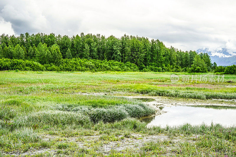 阿拉斯加的风景