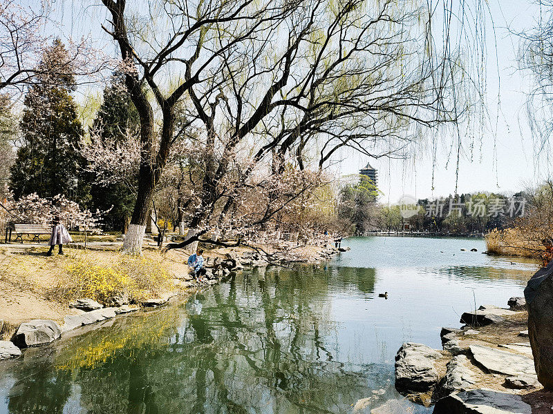 北京大学未名湖