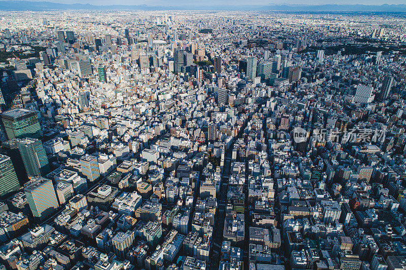 日本东京，黎明时分美丽的城市景观