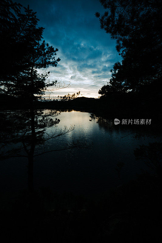 挪威户外风景:森林景观的夜晚