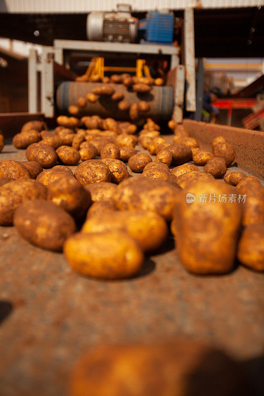 土豆的工厂