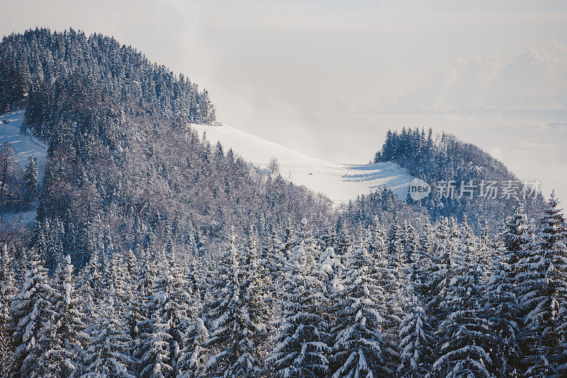 下雪的景色