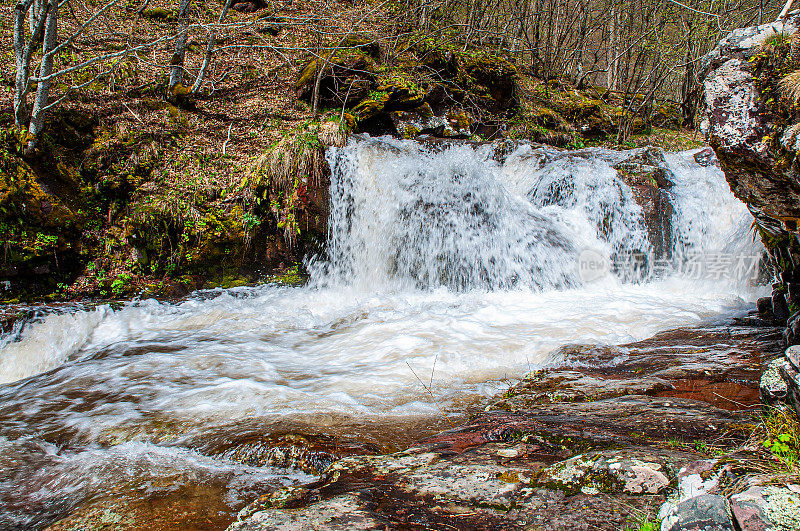 强大的Cunguljski瀑布如瀑布般倾泻而下，在老山的森林中长满了绿色的苔藓