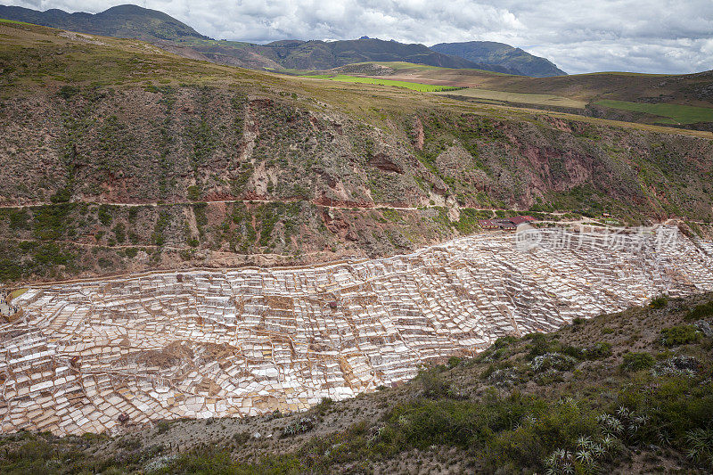 马拉斯盐矿和梯田，圣谷，秘鲁