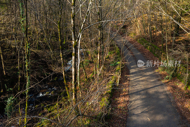 苏格兰林地的乡村公路的高视角