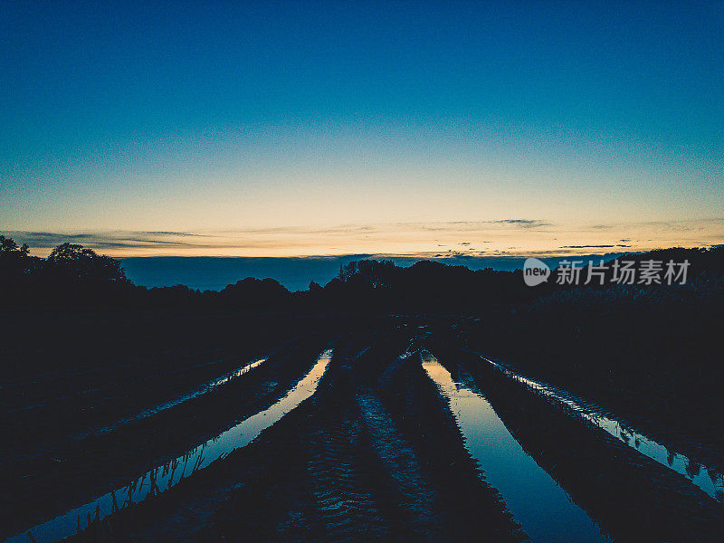 雨后的田野上有雨水和拖拉机的履带。