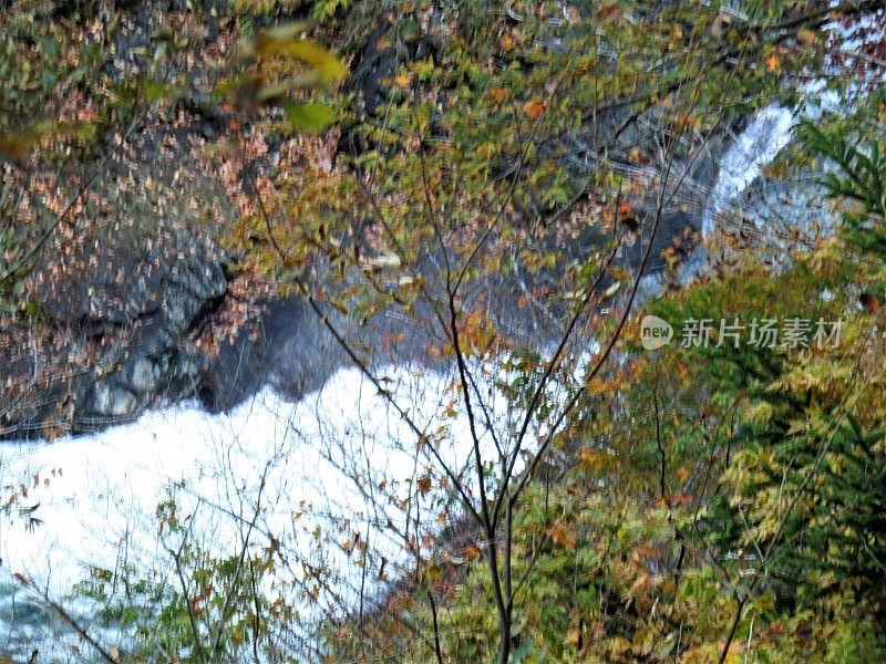 日本。11月。山间有湍急的溪流。