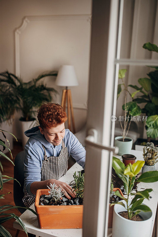 红发少年在家里种植室内植物