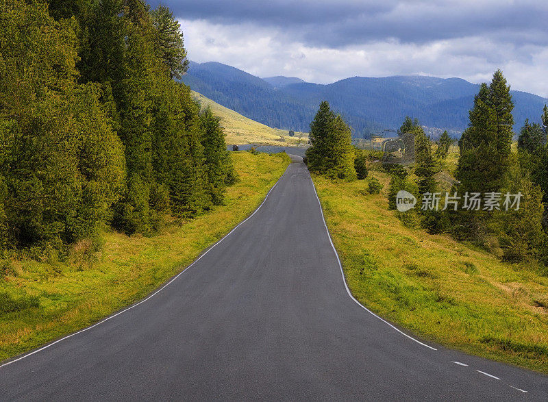 公路穿越森林