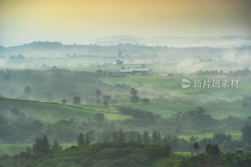 泰国呵叻府考雅伊国家公园热带雨林美丽的风景晨景