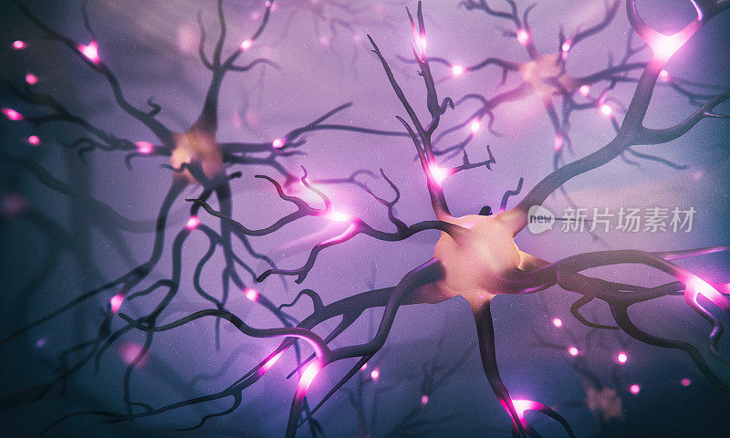 带有信号的神经元和神经网络的可视化