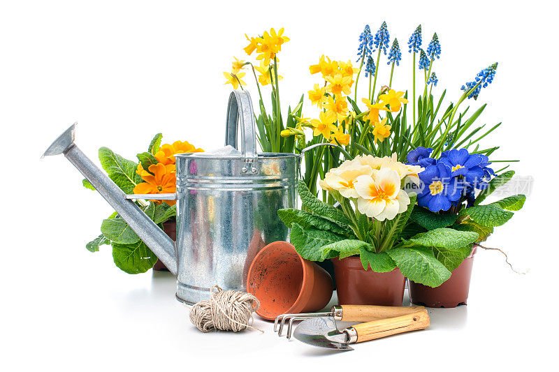 春天的花与园艺工具