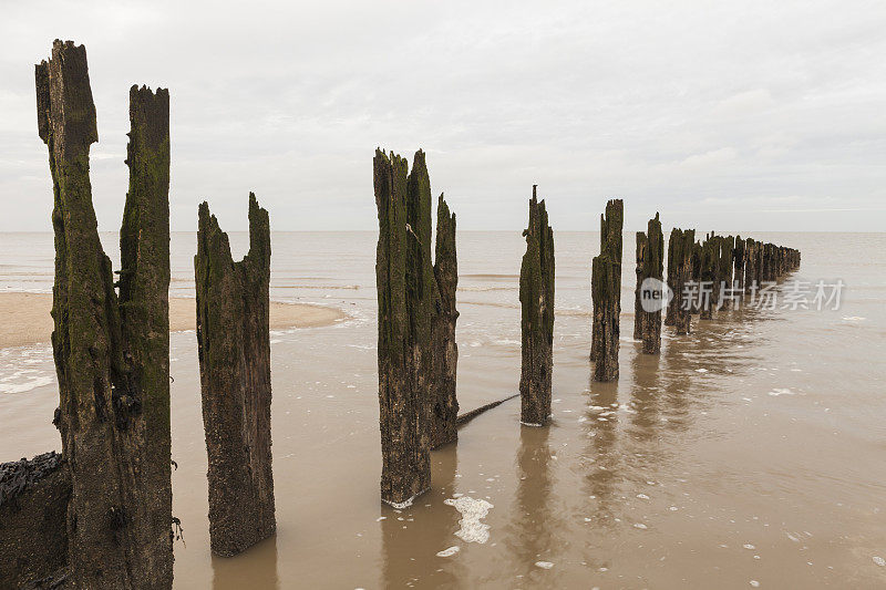 Minnis湾的Groyne