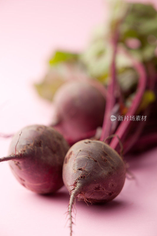 蔬菜剧照:甜菜根