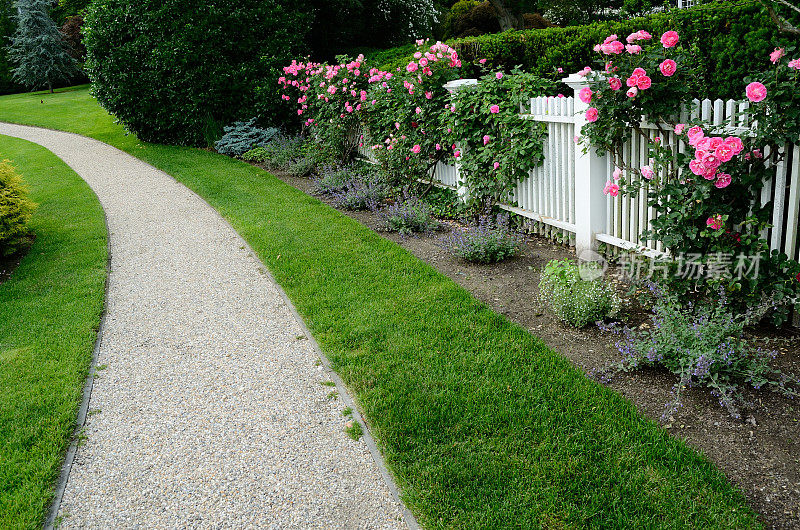 花园小径和玫瑰篱笆