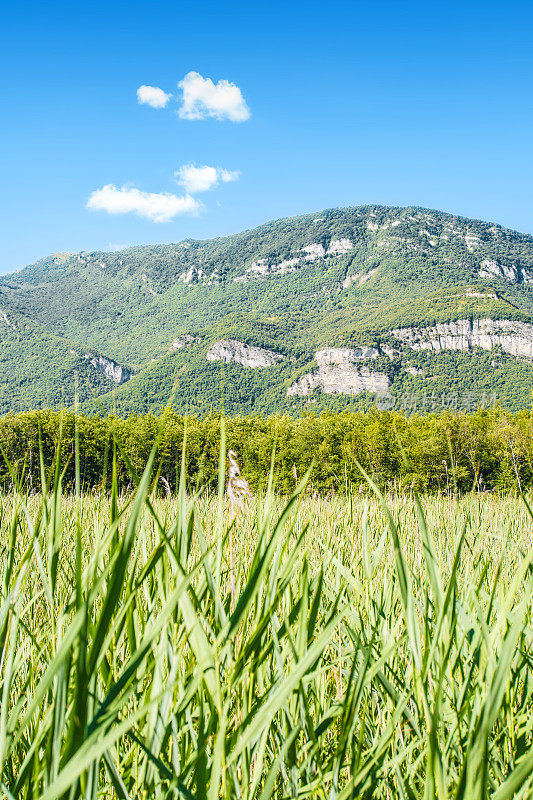 法国山区风景区在沼泽沼泽与玉米田