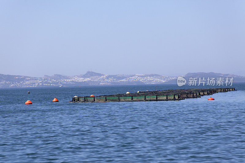 土耳其博德鲁姆穆格拉海岸的渔场