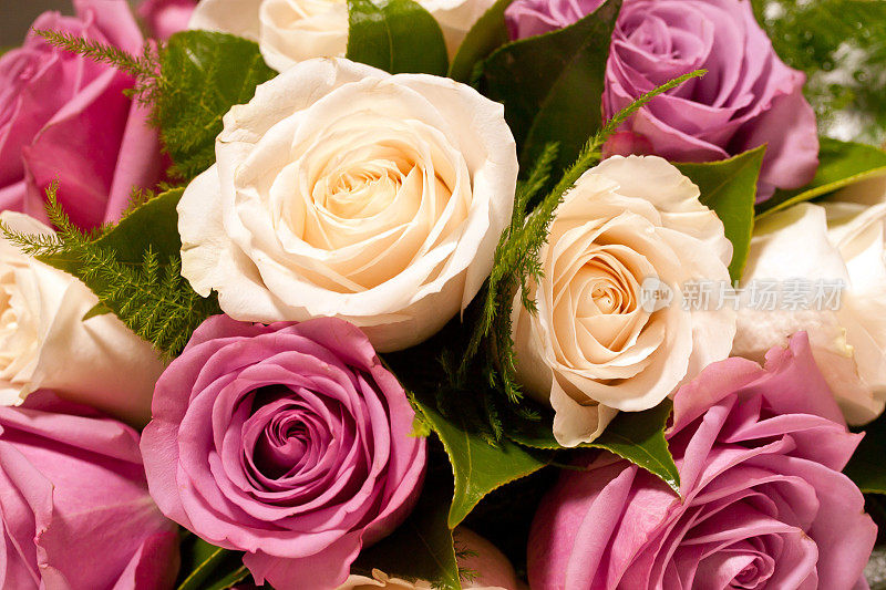 新娘的粉色和奶油玫瑰花束