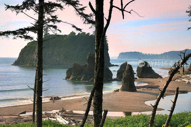 鲁比海滩:岩石海岸线